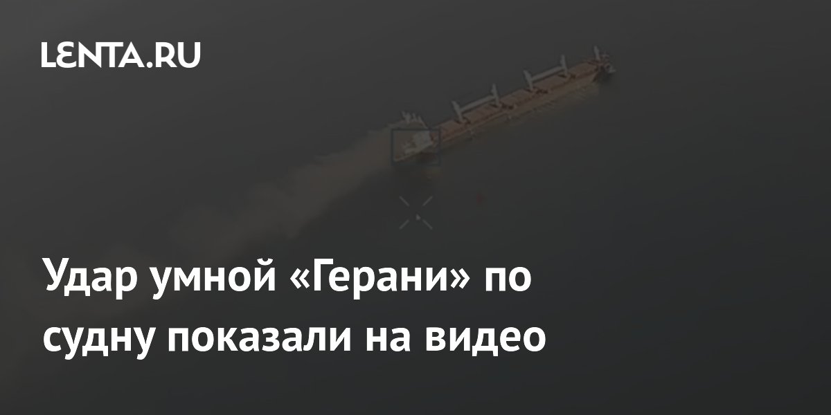 Минобороны РФ показало удар умных дронов «Герань» по контейнеровозу в Черном море
