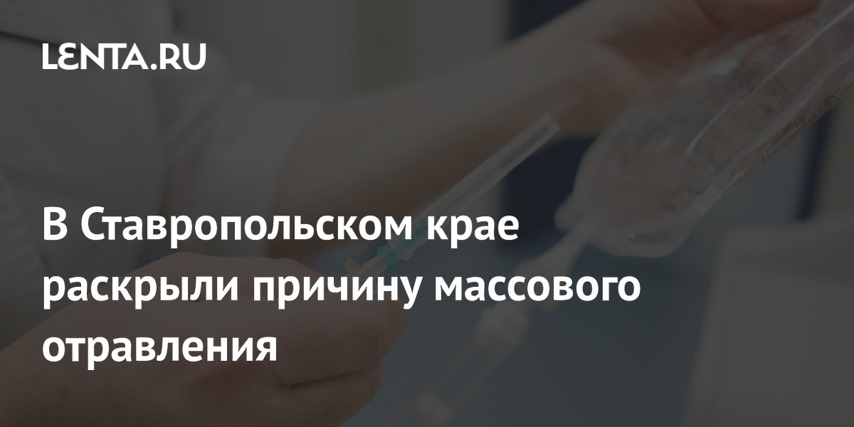 Причиной массового отравления на базе отдыха в Ставрополье стал сальмонеллез