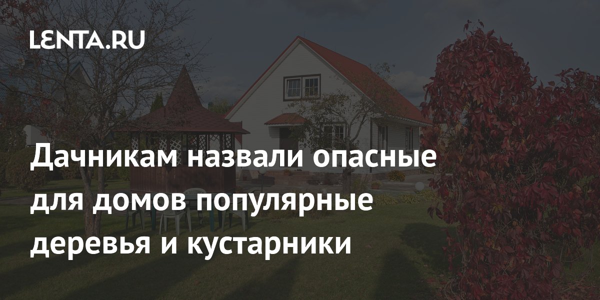 Какие деревья и кустарники опасны для дома: советы садовника