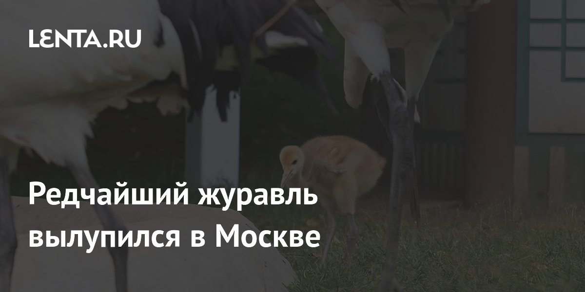 ��������� �������� ������� ��������� � ���������� ��������