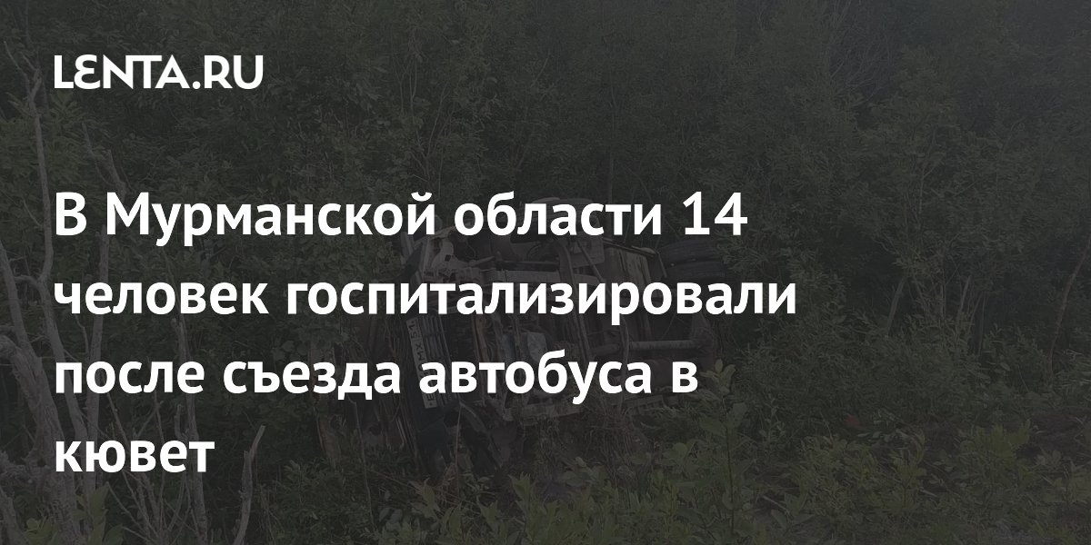14 человек госпитализированы после съезда автобуса в кювет под Мурманском