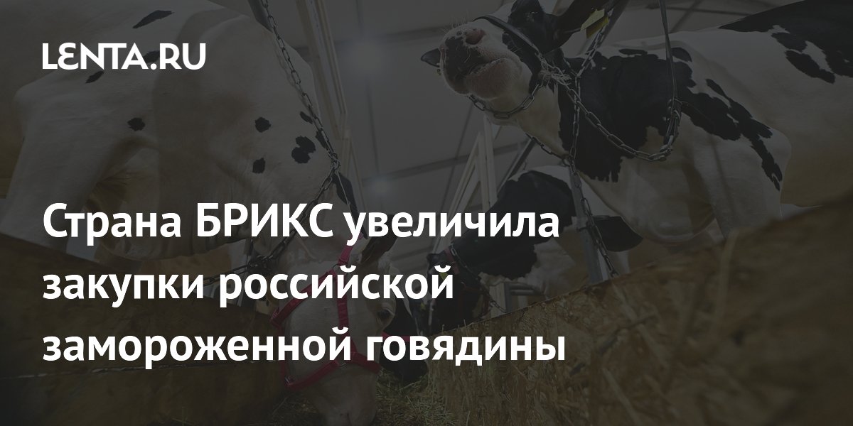 Китай нарастил закупки российской замороженной говядины на 40% за полгода
