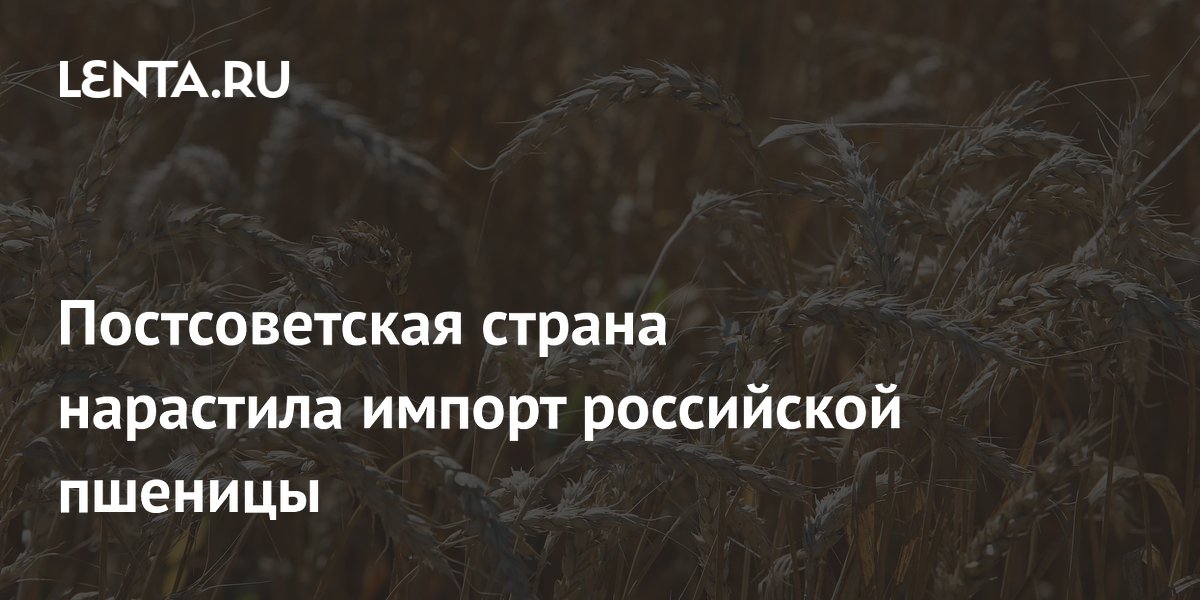 Грузия нарастила импорт российской пшеницы почти на 30% за полгода
