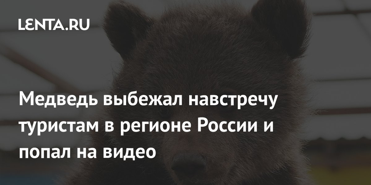 Медвежонок выбежал навстречу туристам на тропе в Байкальске