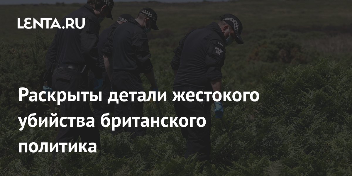 Убийство экс-депутата Энн Уиддкомб: 21 удар молотком