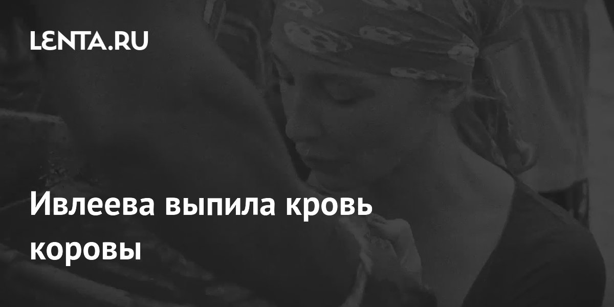 Ивлеева в Эфиопии выпила кровь коровы и рассказала о традиции племени