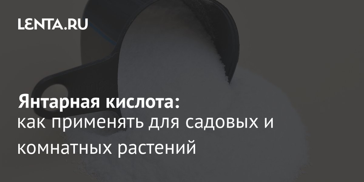 Янтарная кислота для растений: биостимулятор, а не удобрение