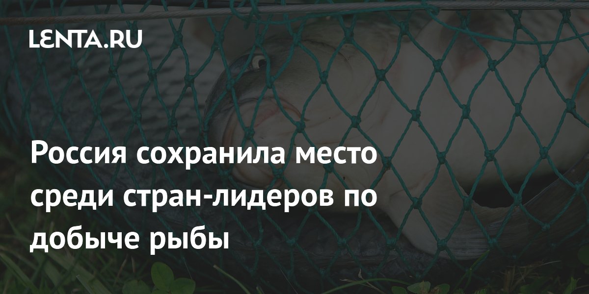 Россия осталась в топ-5 по добыче рыбы: вылов лосося вырос на 40%