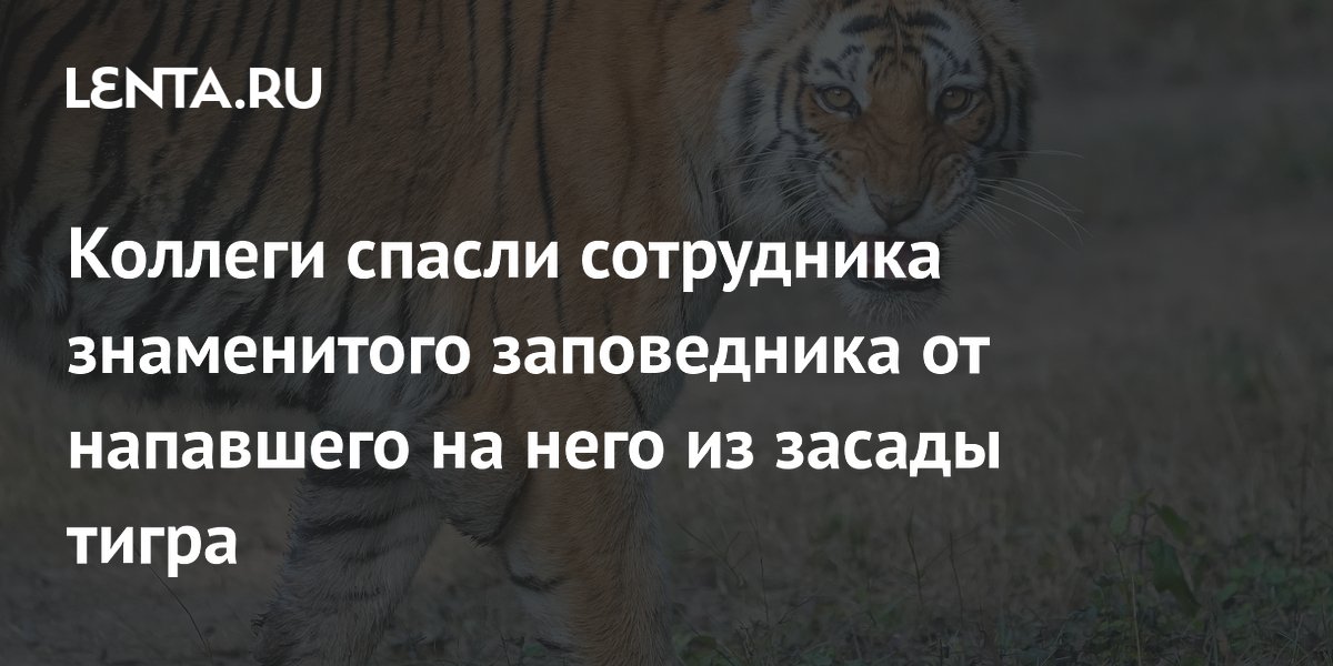 � ����� ������� ������ ���������� ����������� �� ��������� �����