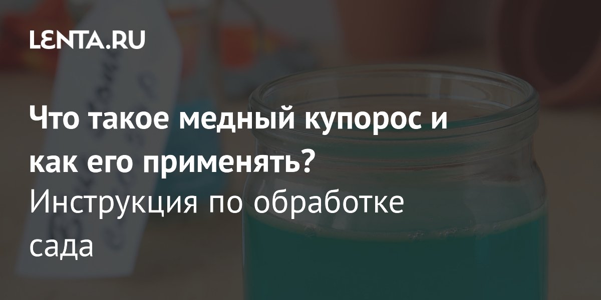 ������ ������� ��� ����: ���������� �� ���������� � ������ �� ������