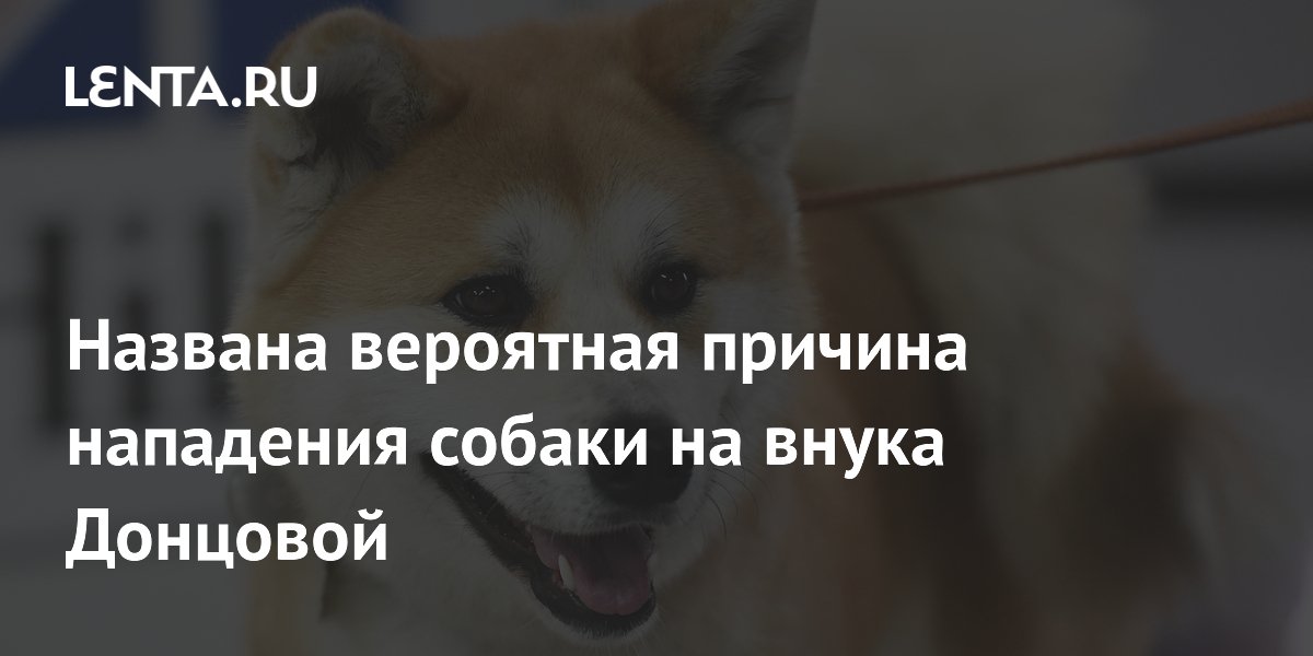 ������ ������ ������ �� ����� ��������: ��������� ������ ������� � ������� ������������