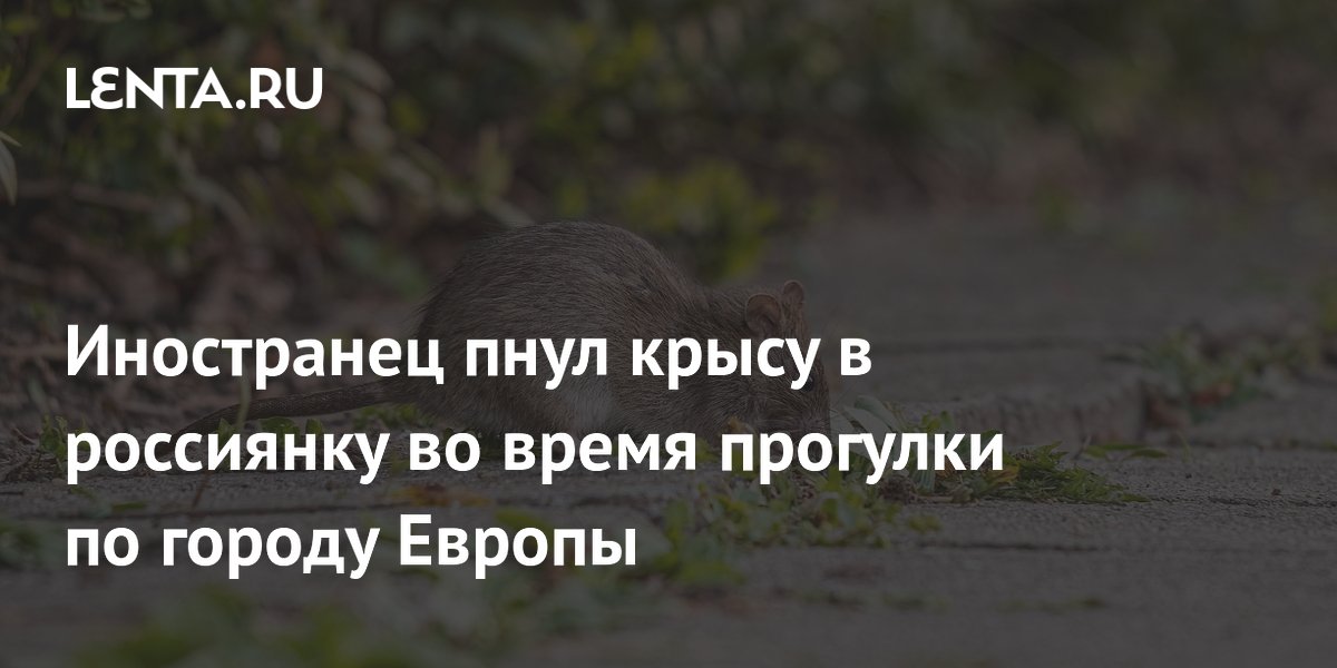 Российская туристка в Венеции пострадала от крысы, которую пнул местный житель