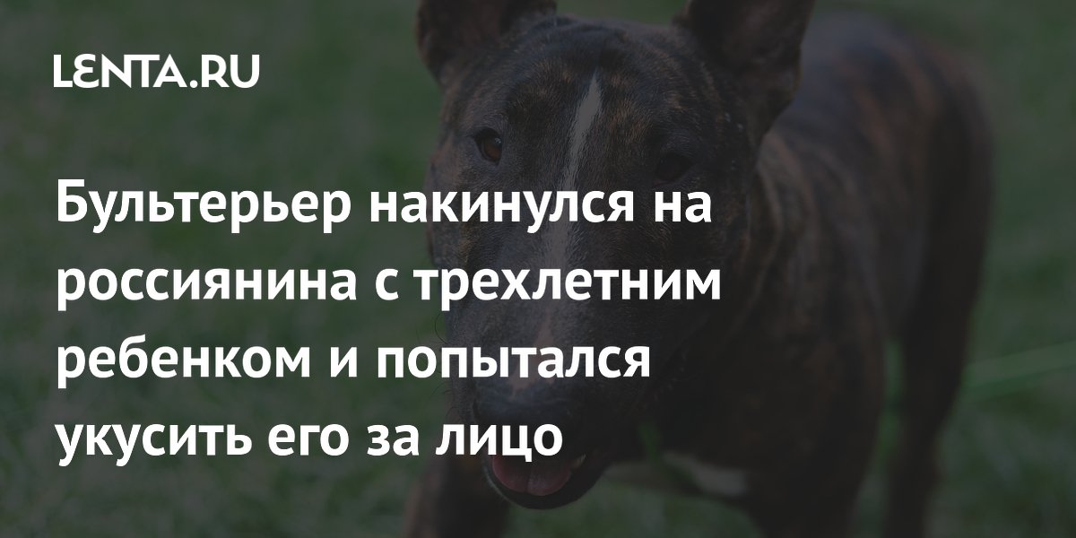 � ���������� ���������� ����� �� ���� � ��������: ��� ������ �������� �� ����