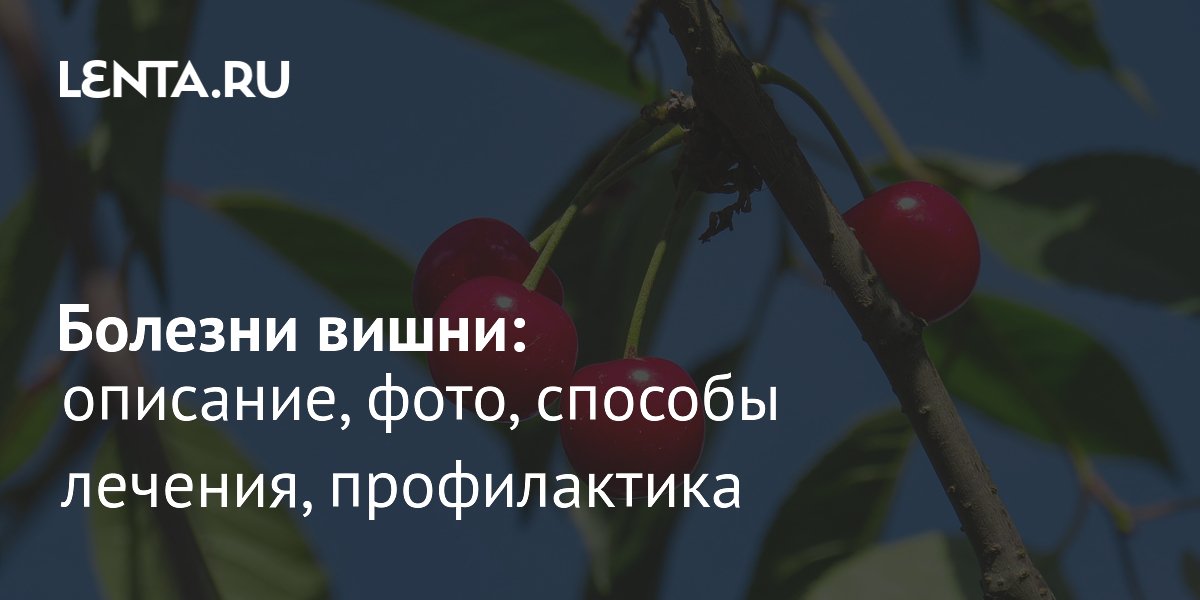 ������� �����: ��� ����������, ������ � ������������� ������ ������