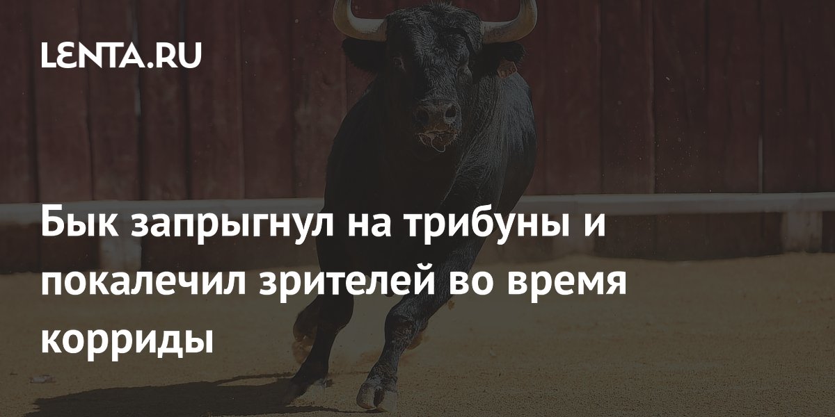Бык запрыгнул на трибуны во время корриды в Колумбии: пострадали четыре человека