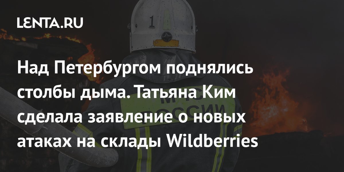 ����� ��������� ������ Wildberries ��� �����������: ������� ������ 50 ���. ��. �, ���� ������������