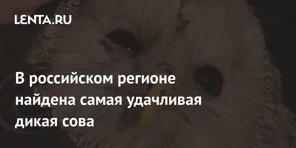 � ������������ ���� ������ ���� ������ ������� ����