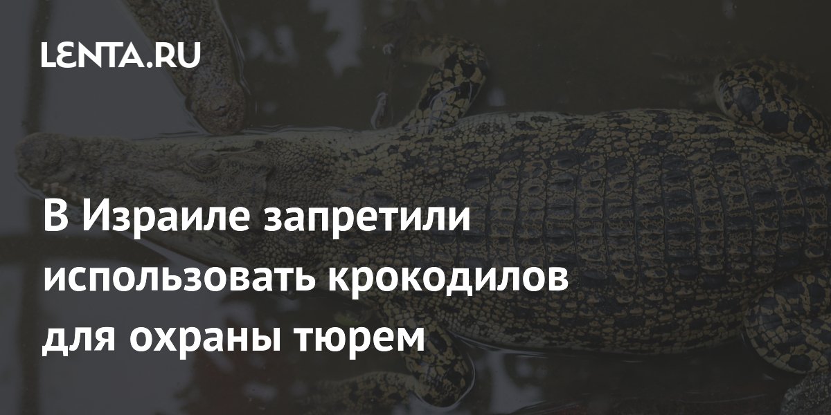 ��� � ������� �������� �������� ������������ ���������� ��� ������ �����