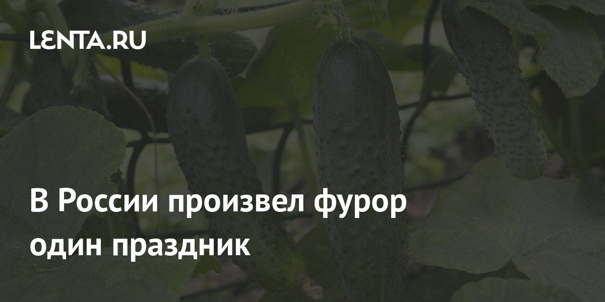 Праздник огурца в Суздале собрал свыше 15 тысяч гостей за первый день