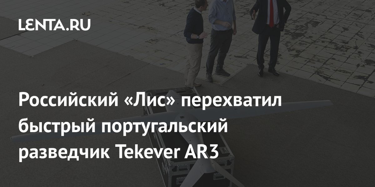 «Лис» перехватил португальский разведчик Tekever AR3 в брянском приграничье