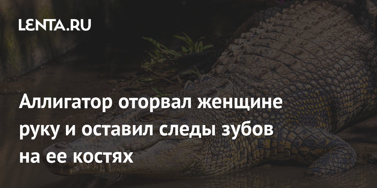 Аллигатор оторвал руку туристке во Флориде: следы зубов на костях подтвердили нападение