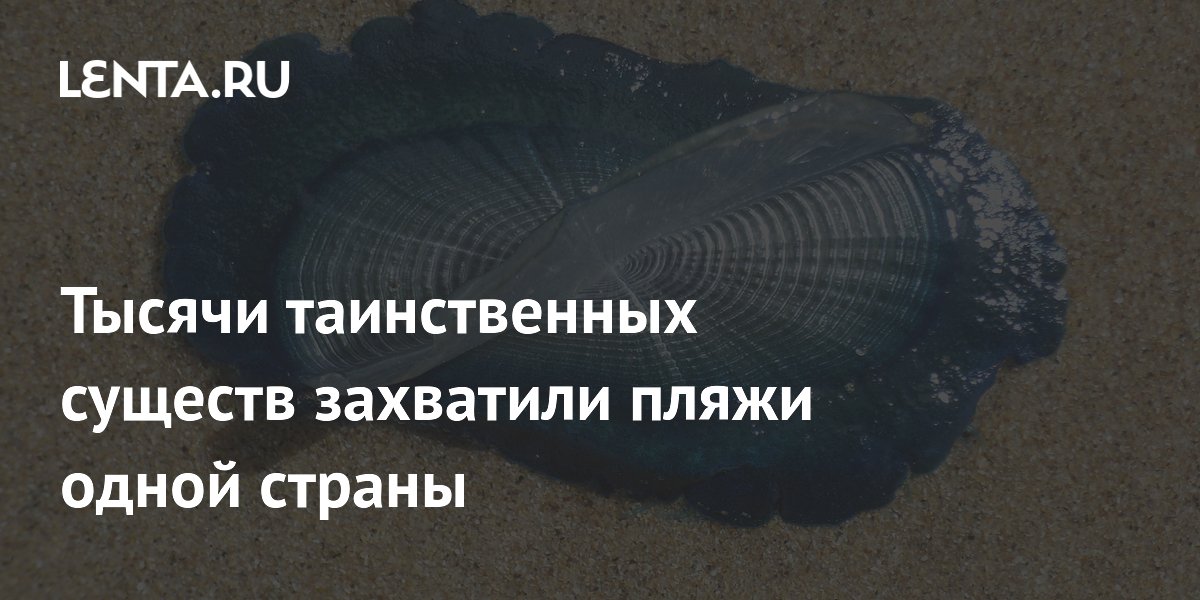 ������ ����� ������� ��������� �� ����� ��������: ��� ��� � ������ ��