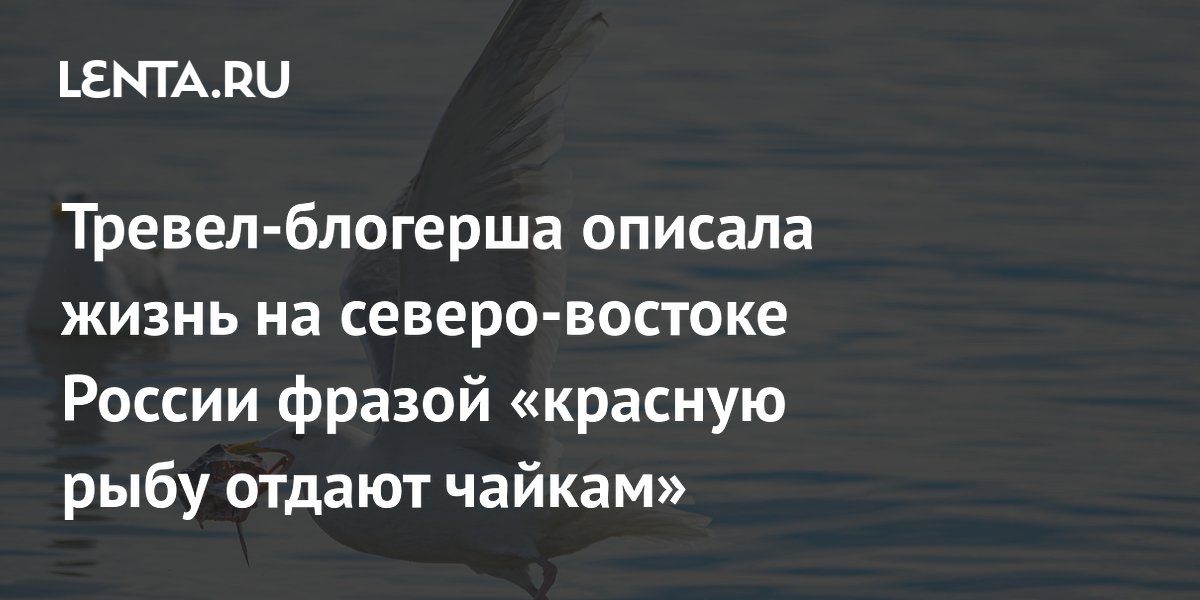 Тревел-блогерша описала жизнь на Чукотке: красную рыбу отдают чайкам