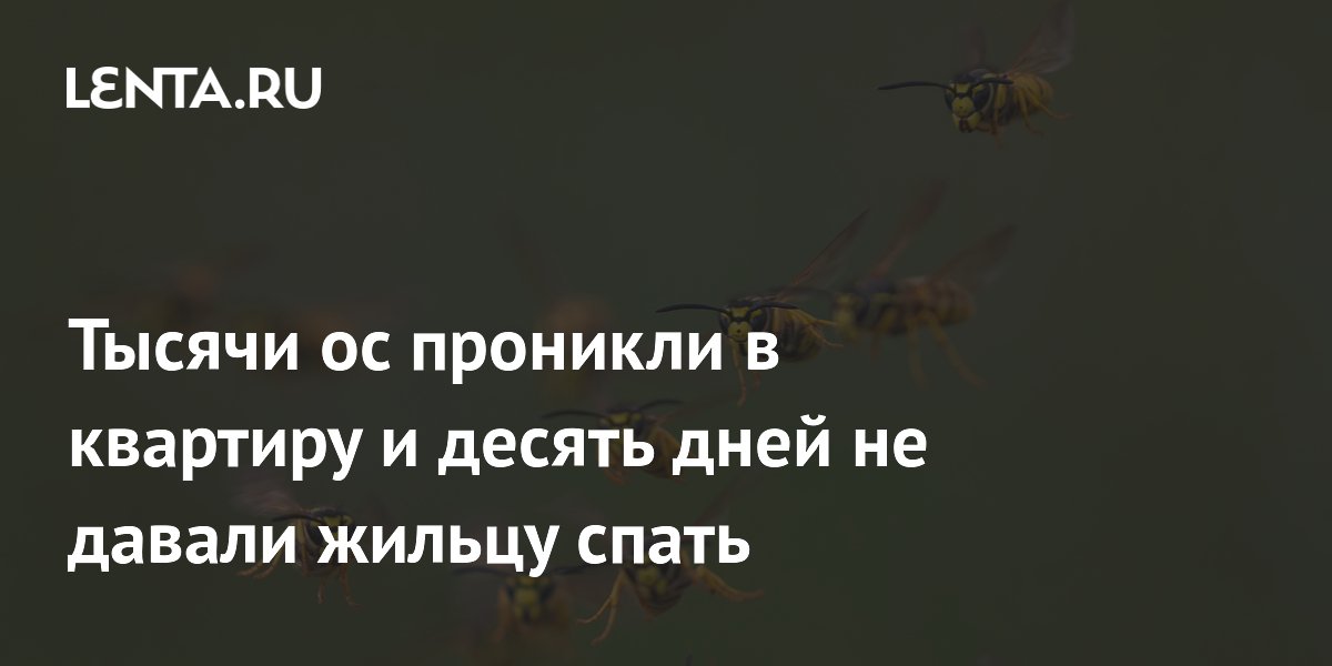 � �������� ������ �� ��������� �������� ������ � ��������� ��� ���������