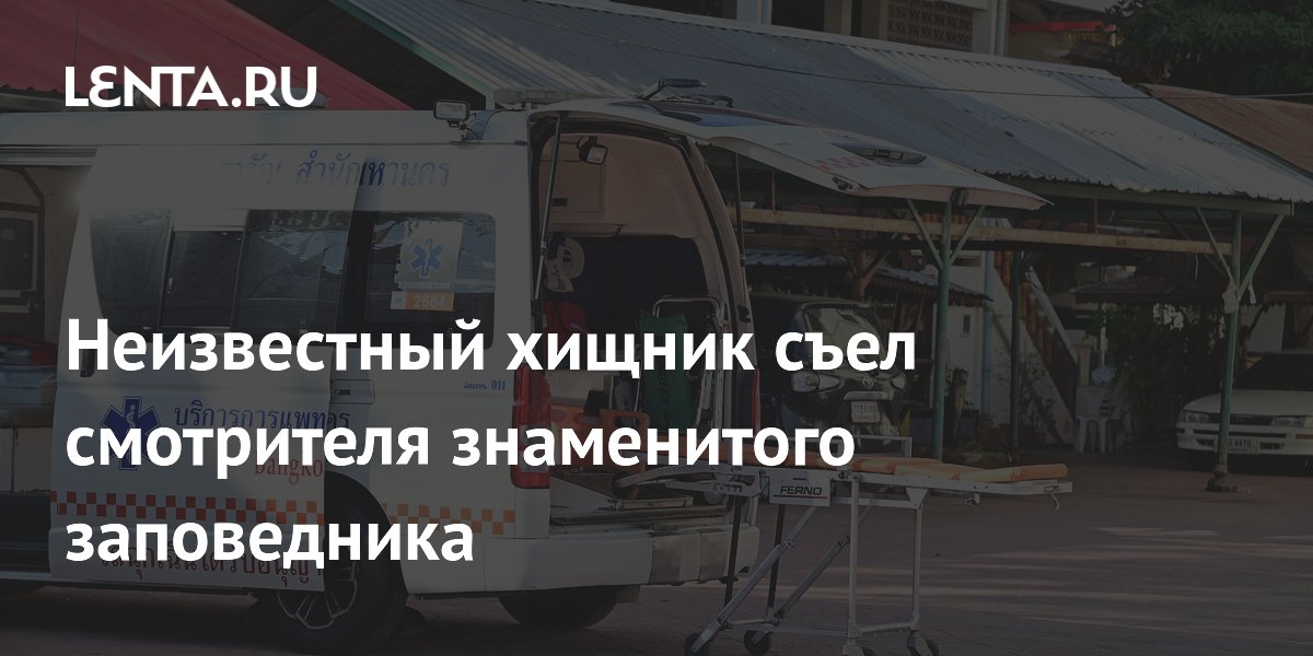 ����������� ������ ���� ���������� ����������� ������������ � ��������