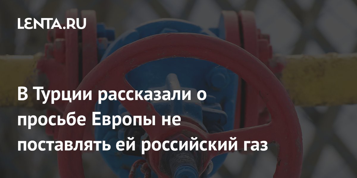 ������ ��������� ������ ������������, ��� ��� �� ����������