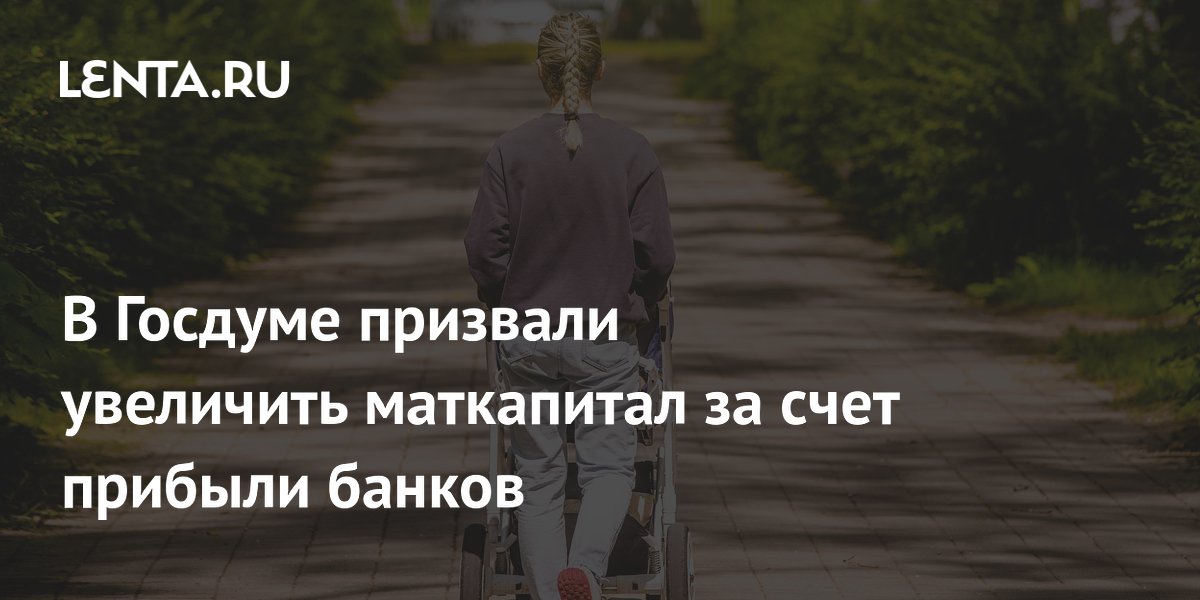 В Госдуме предложили увеличить маткапитал за счет прибыли банков