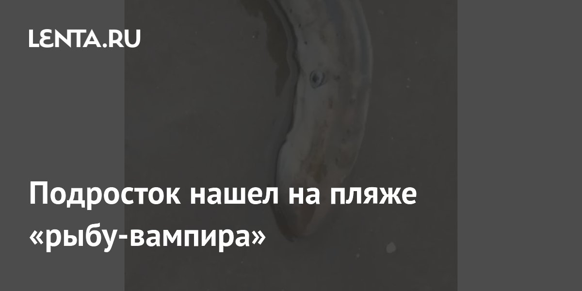 ��������� � ��������� ���� ������ ����-������� � ������� ������� �� ������