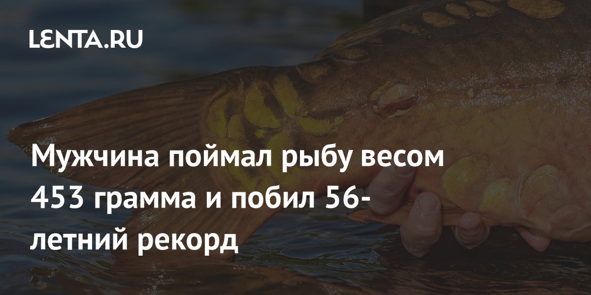 Американец поймал солнечную рыбу весом 453 грамма и побил рекорд 56-летней давности
