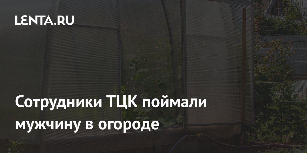 Сотрудники ТЦК мобилизовали мужчину, работавшего в огороде