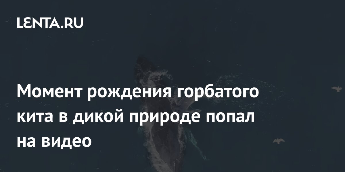 � ��������� ���� ������� ���� �������� ��������� ���� � ����� �������