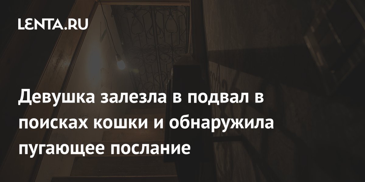 Девушка полезла в подвал за котом и нашла нож с загадочной запиской