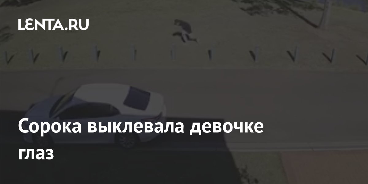 Сорока выклевала глаз 12-летней девочке в Австралии