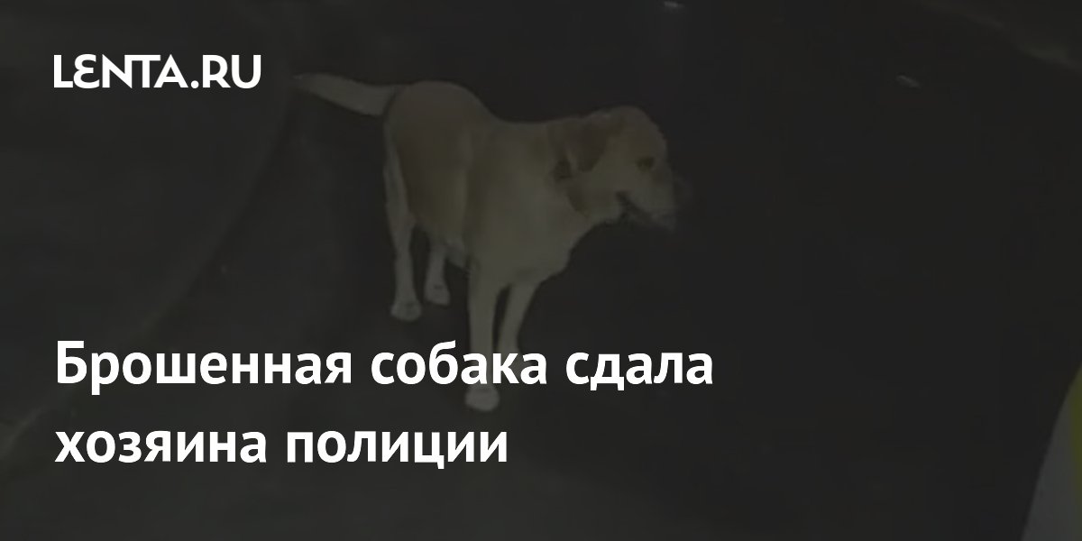 � �������� ��������� ������ ������� ������� � �������-����������