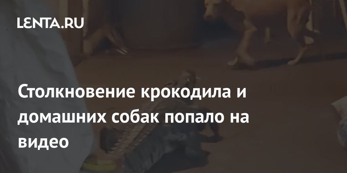 �������� ��������� �� ���� �������, � ������ ���������� ��� �������: �����