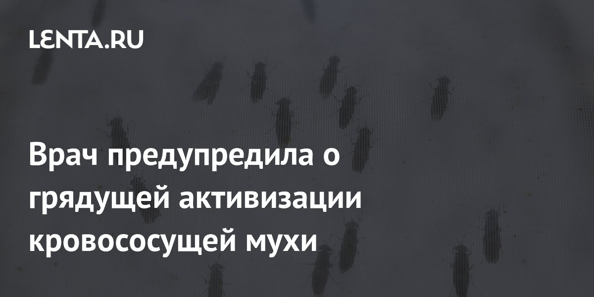 ������� �������: ���� ������������ �� ����������� ������������ ���� � ����� ����