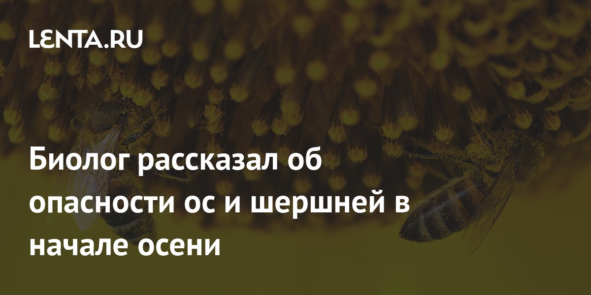 ������: ��� � ������ � ������ ����� ���� �������� �� ����� ��-�� �������� ����