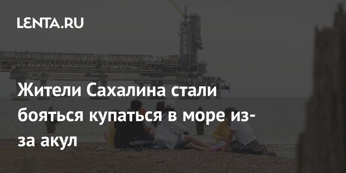 Жители Сахалина третий раз за три недели заметили акулу у берега и боятся купаться