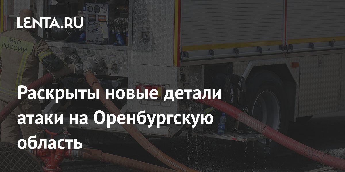 ����� �� ������������ �������: �������� Ozon ������������ ������