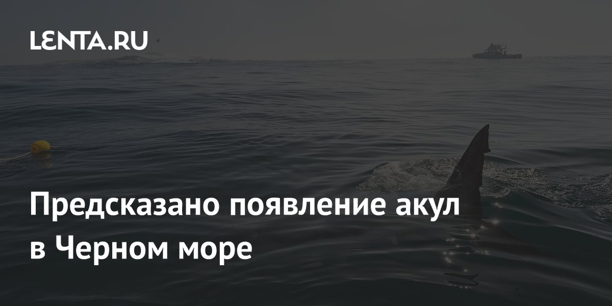 ��������: ��-�� ���������� � ������ ���� ����� ��������� ����� � �����