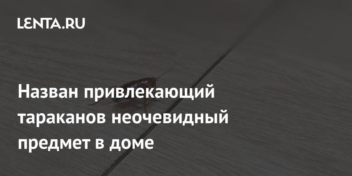 ���������� ������� ����������� ������� � ����, ������������ ���������
