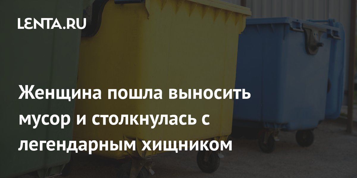 Жительница Нортгемптона сфотографировала легендарную большую дикую кошку у дома