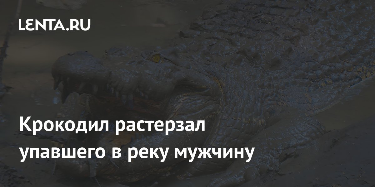 В Индии крокодил напал на мужчину, упавшего в реку с берега