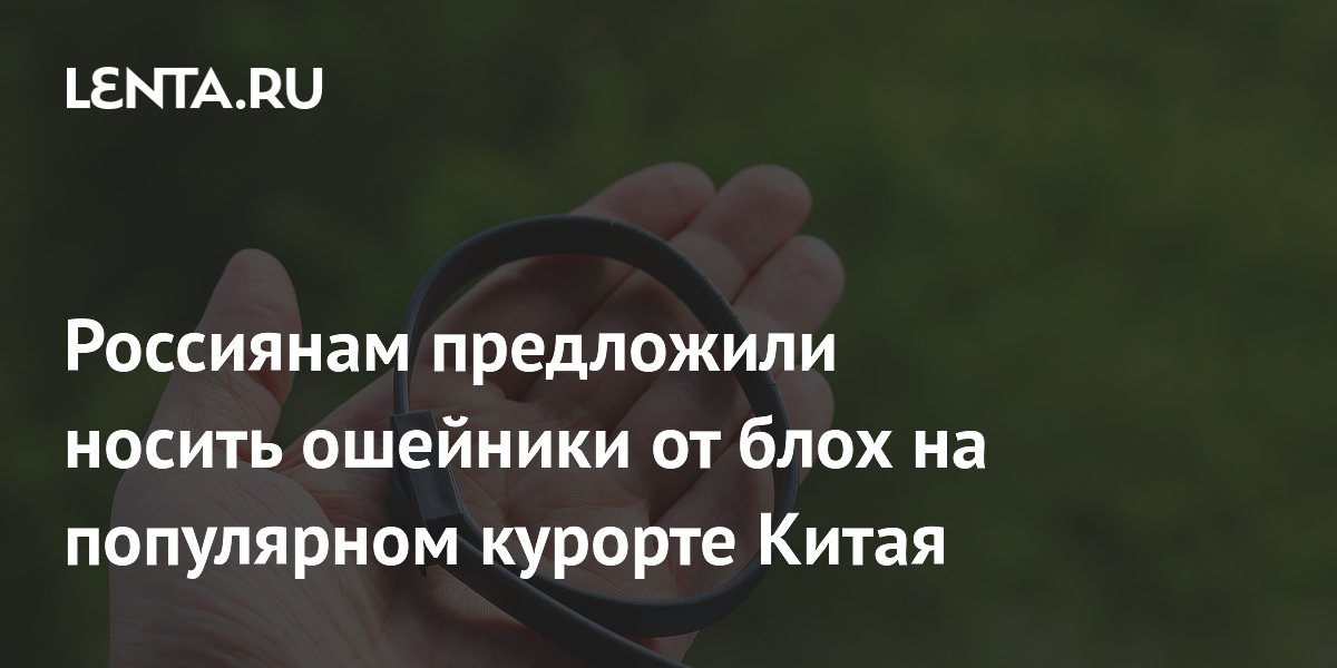 Россиянам посоветовали ошейники от блох для защиты от мокрецов в Санье