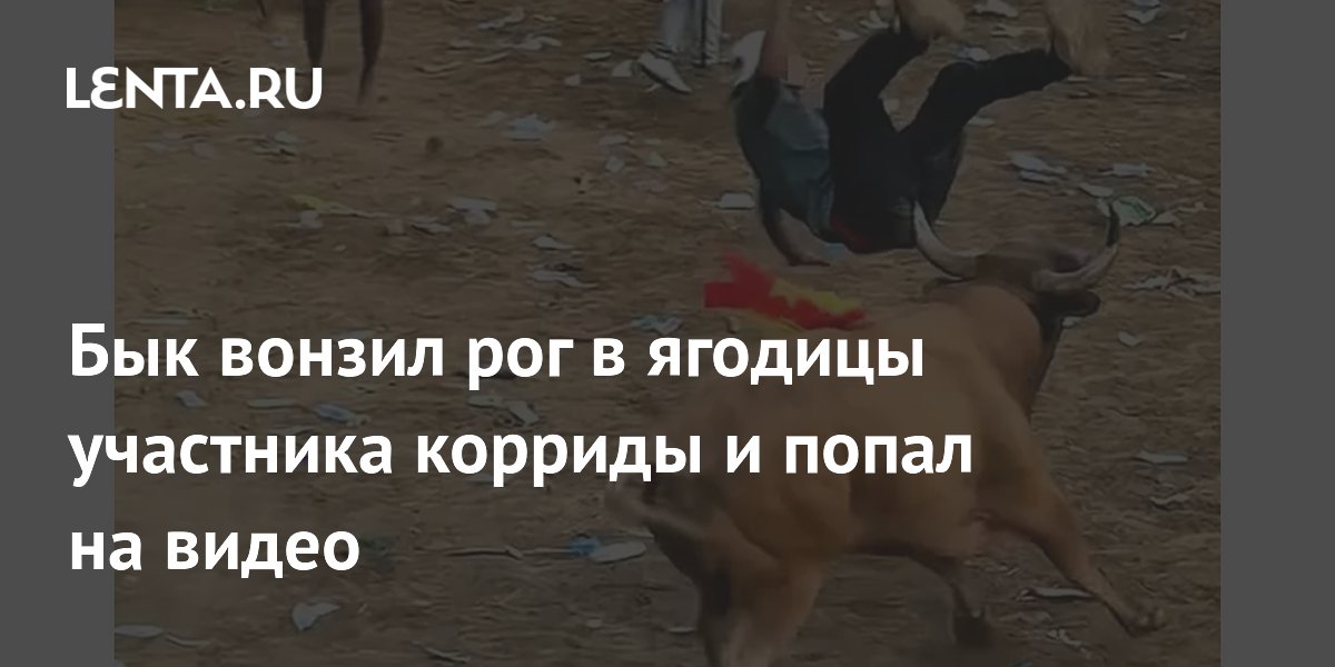 В Колумбии бык вонзил рог в ягодицы участника народной корриды