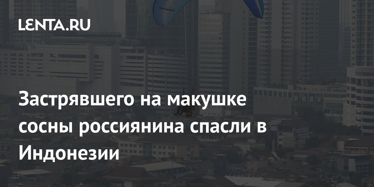 Спасатели в Индонезии сняли россиянина с сосны после полета на параплане